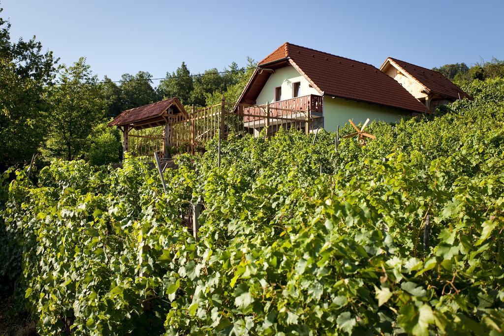 Vineyard Cottage Lustek Novo Mesto Exteriör bild
