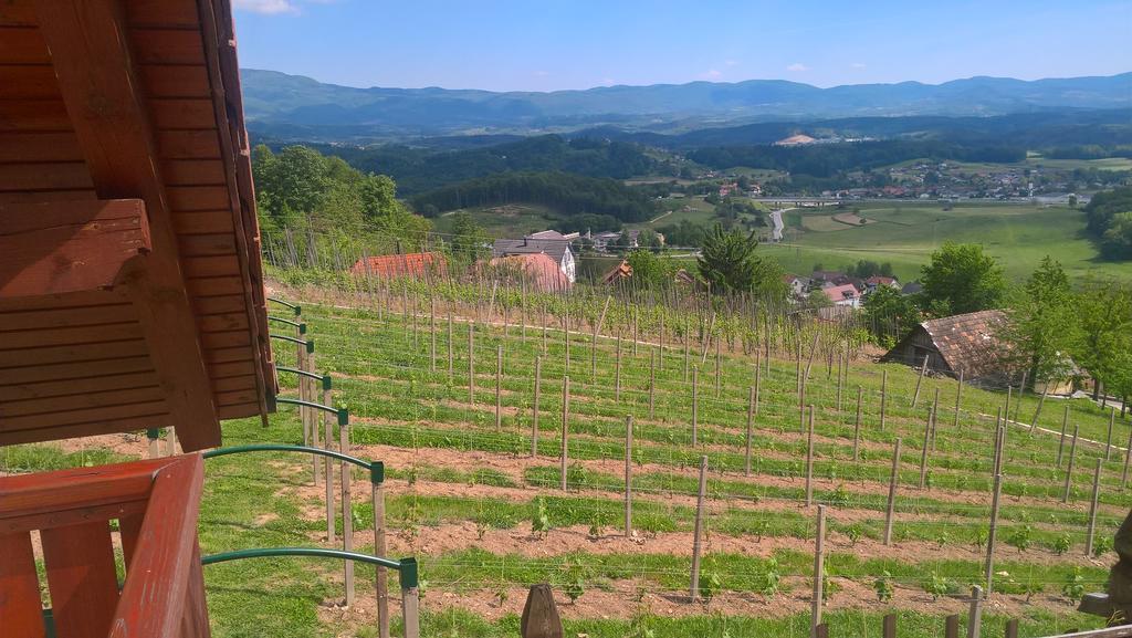 Vineyard Cottage Lustek Novo Mesto Exteriör bild